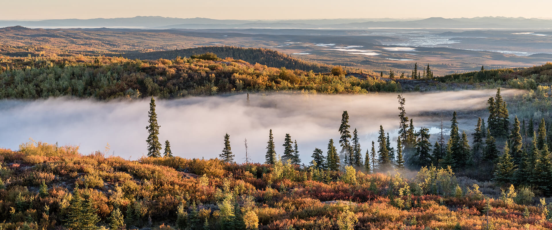 Beauty shot of Alaskan nature