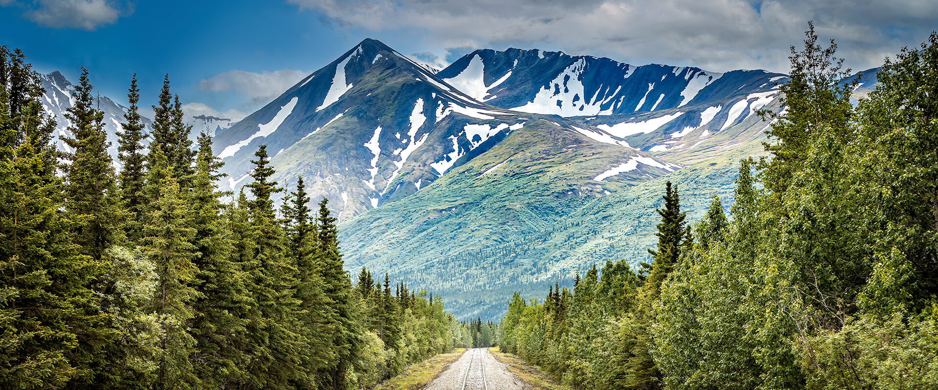 Nature beauty shot of forrest and snow capped mountains 