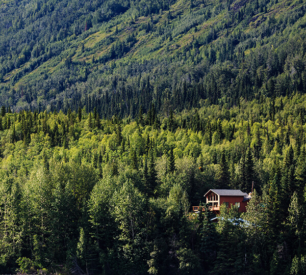 forrest in the mountains with cabin on ridge 